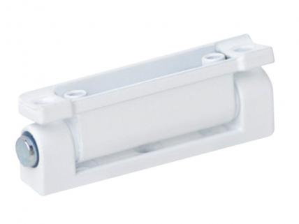 PVC PİMAPEN KAPI MENTEŞESİ 95 MM ( 2 ADET ) -VİDALARI İLE BERABER